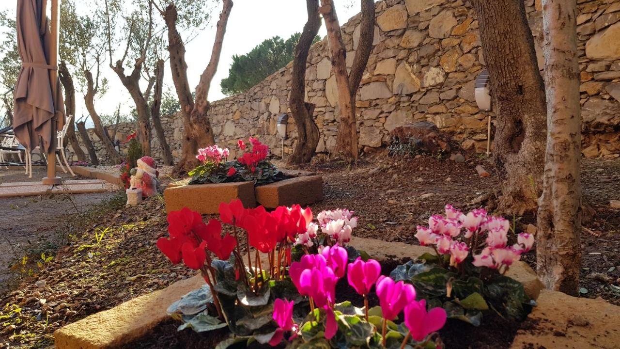 Poggio Degli Ulivi Génova Exterior foto